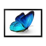 ” Vibrant Blue Butterfly “ - Chic Decora