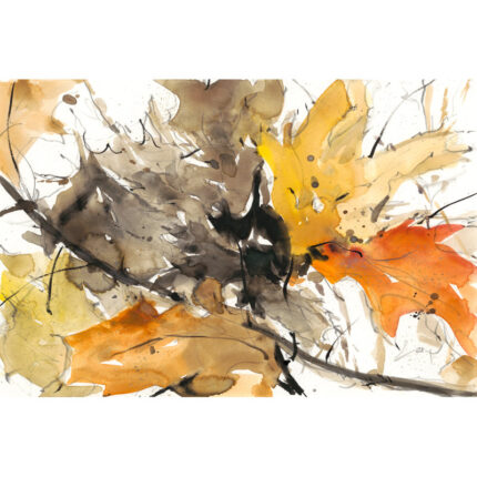 ” Watercolor Autumn Leaves II ” by Samuel Dixon - Chic Decora