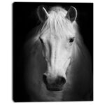 ” White Horse Black And White “ - Chic Decora