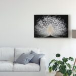 ” White Peacock Portrait ” by Pino Liddi - Chic Decora