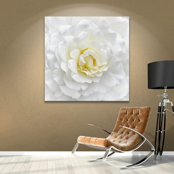 ” White Rose “ - Chic Decora