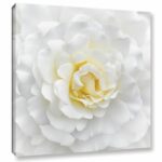 ” White Rose “ - Chic Decora