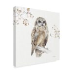 ” Woodland Walk VIII Owl ” by Lisa Audit - Chic Decora