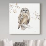 ” Woodland Walk VIII Owl ” by Lisa Audit - Chic Decora