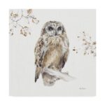 ” Woodland Walk VIII Owl ” by Lisa Audit - Chic Decora