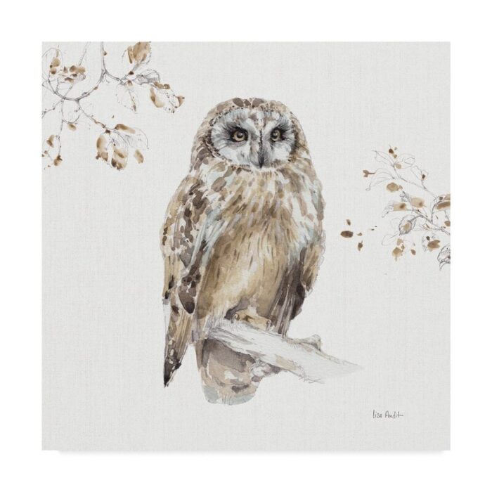 ” Woodland Walk VIII Owl ” by Lisa Audit - Chic Decora