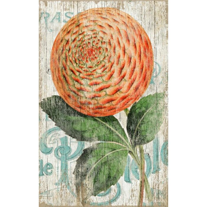 ” Zinnia Orange ” by Suzanne Nicoll - Chic Decora