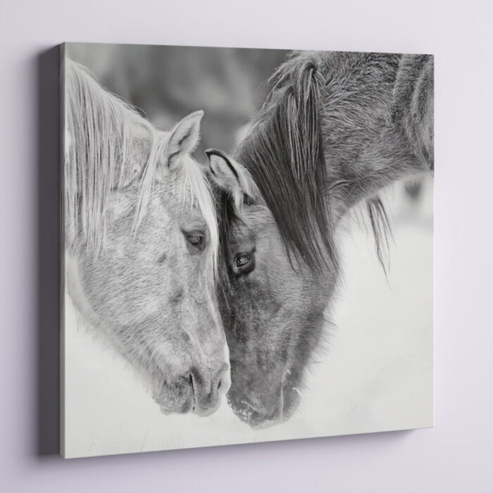 Black and White Horses VII’ Photographic Print on Wrapped Canvas - Chic Decora