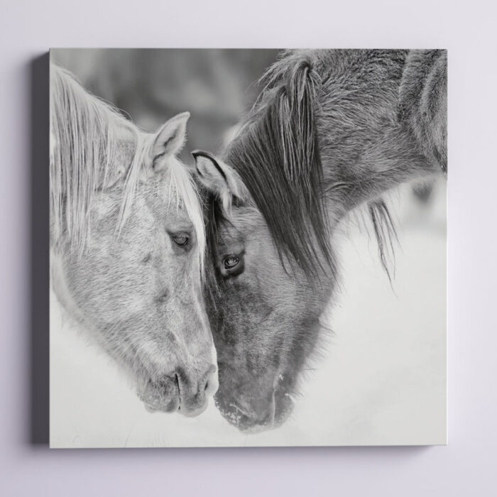 Black and White Horses VII’ Photographic Print on Wrapped Canvas - Chic Decora