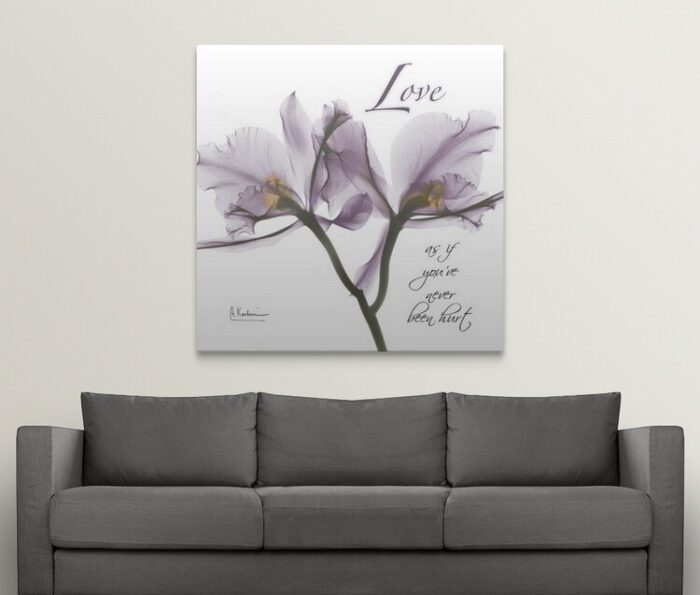 Orchid Love X-Ray by Albert Koetsier Photographic Print - Chic Decora