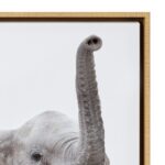 Safari Animals’ by Amy Peterson – Floater Frame Graphic Art Print on Canvas - Chic Decora