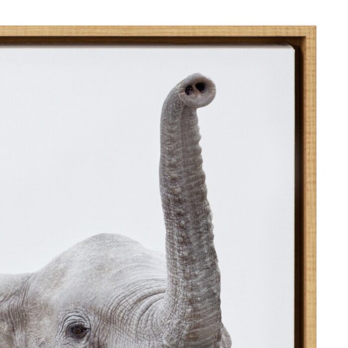 Safari Animals’ by Amy Peterson – Floater Frame Graphic Art Print on Canvas - Chic Decora