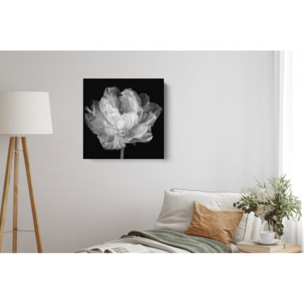 Tulipa Double Black and White I’ by Cora Niele | Framed Canvas Fine Art Flower Print - Chic Decora