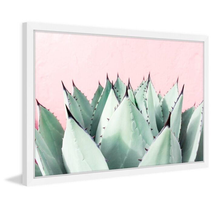 Abdirazaq ” Sweet Succulents ” by Morgan Hartley - Chic Decora