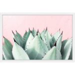 Abdirazaq ” Sweet Succulents ” by Morgan Hartley - Chic Decora