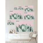 Abdirazaq ” Sweet Succulents ” by Morgan Hartley - Chic Decora