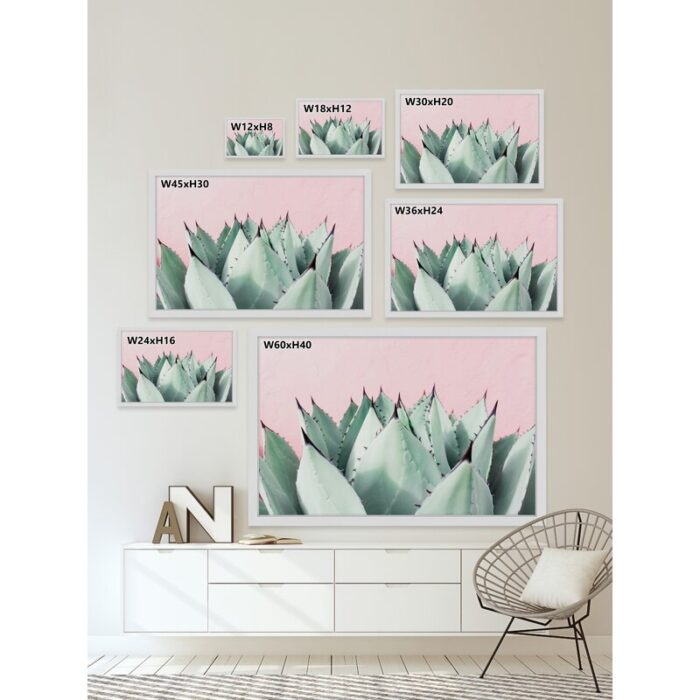 Abdirazaq ” Sweet Succulents ” by Morgan Hartley - Chic Decora