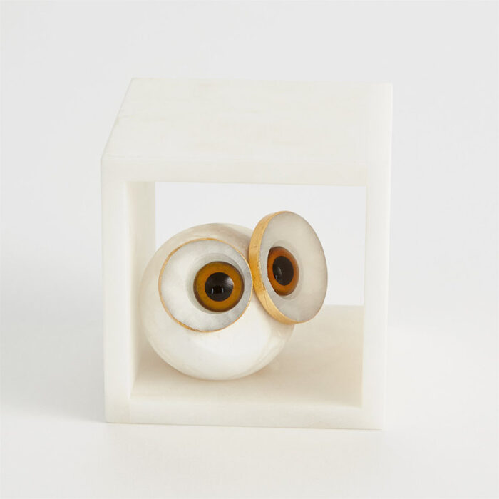 Alabaster Big Eyed Owl in Cube-Sm - Chic Decora