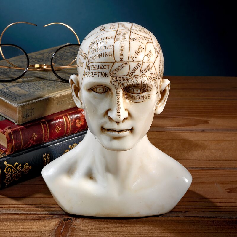 Alfredo Phrenology the Science of the Brain Montclare Replica Bust - Chic Decora