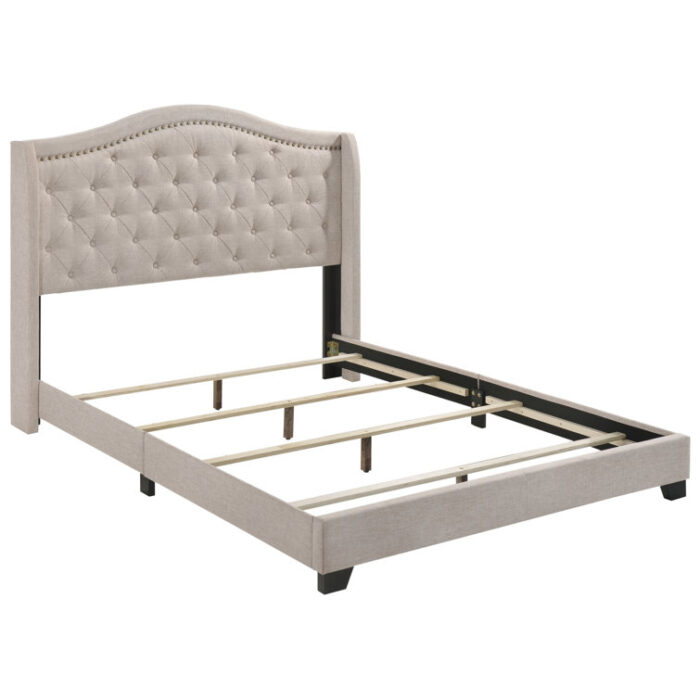 Aquira Upholstered Panel Bed - Chic Decora