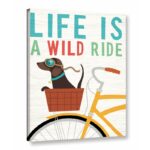 Beach Bums Dachshund Bicycle I Life by Michael Mullan Graphic Art on Canvas - Chic Decora