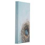 Blue Nest by Elena Ray Photograph on Canvas - Chic Decora