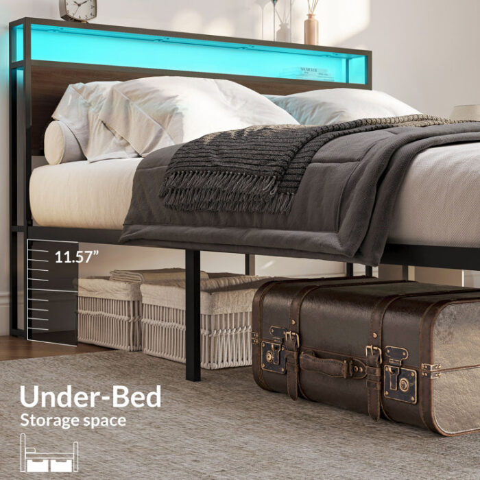 Bookcase Bed - Chic Decora