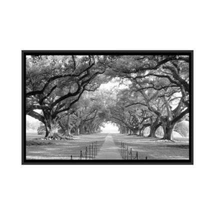 Brick Path Through Alley of Oak Trees, Louisiana, New Orleans, USA Black and White I by Panoramic Images – Graphic Art Print on Canvas - Chic Decora