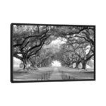 Brick Path Through Alley of Oak Trees, Louisiana, New Orleans, USA Black and White I by Panoramic Images – Graphic Art Print on Canvas - Chic Decora