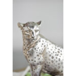 Brittnany Animals Figurines & Sculptures - Chic Decora