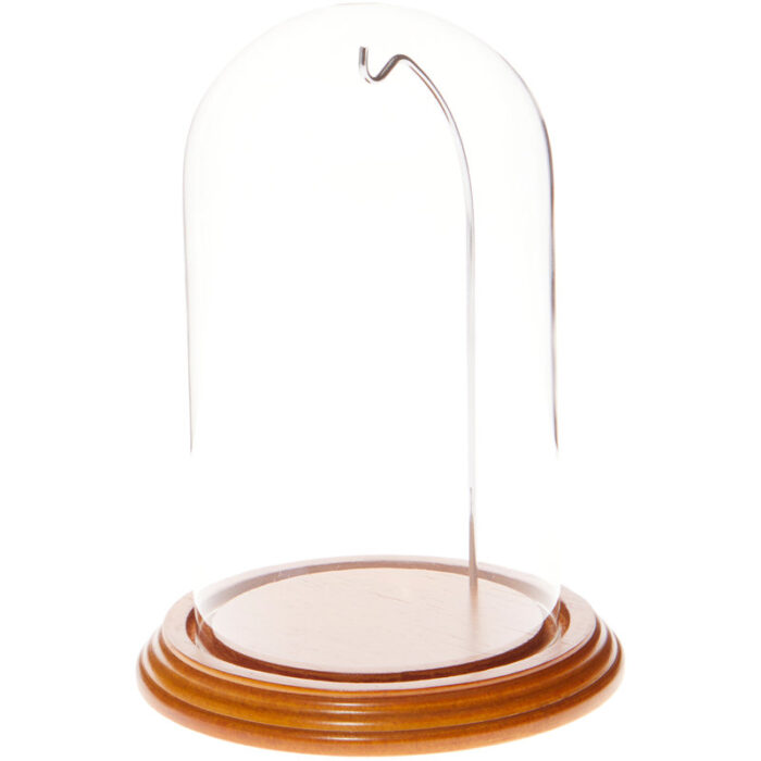 Cloche Or Water Globe - Chic Decora