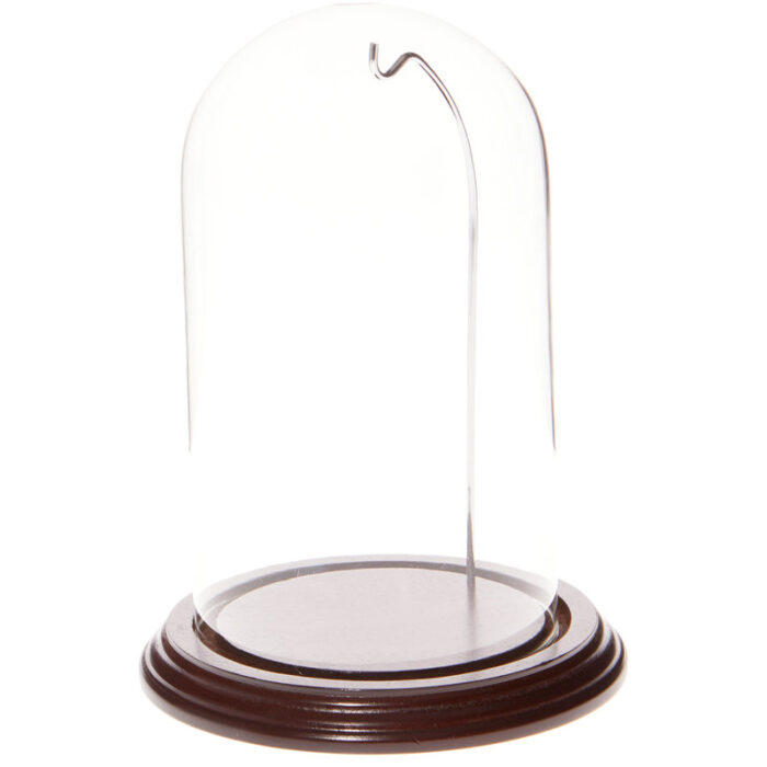 Cloche Or Water Globe - Chic Decora