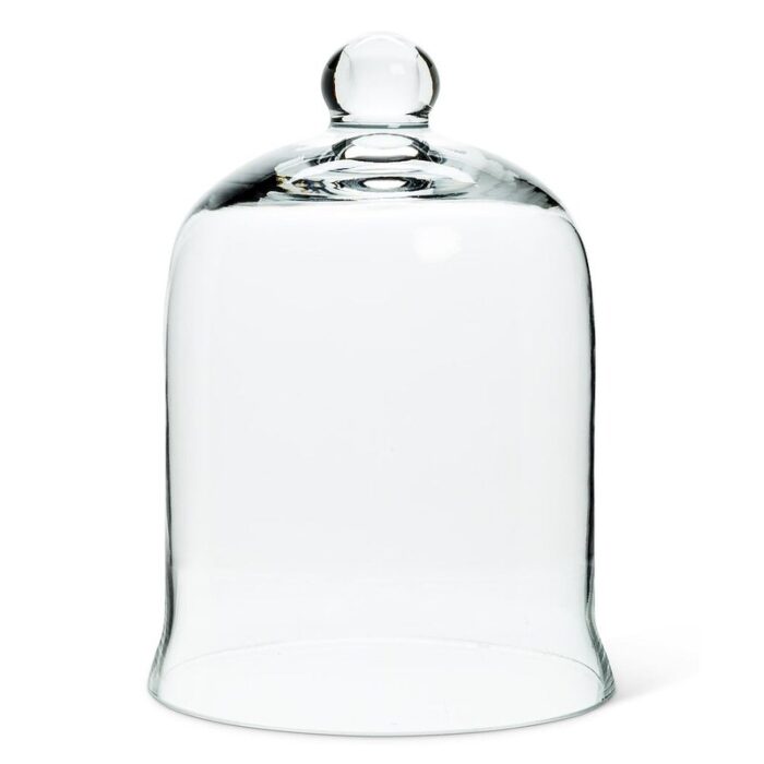 Cloche Or Water Globe - Chic Decora