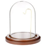 Cloche Or Water Globe - Chic Decora