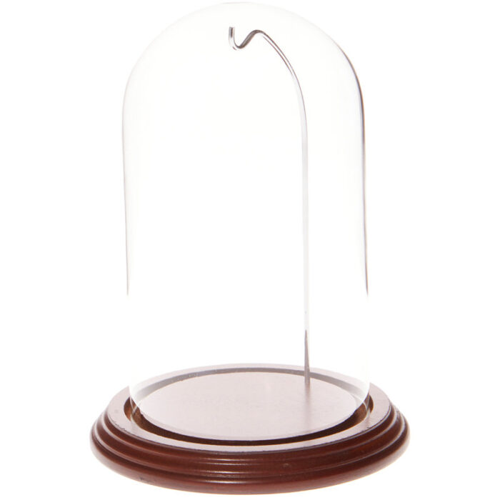 Cloche Or Water Globe - Chic Decora