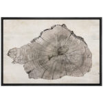 Close Up Of Wood Tree Ring Log Neutral Farmhouse Country Decor Wall Art Framed On Canvas Print - Chic Decora