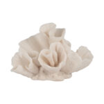 Coral Object, Ivory, Tranquil Waters - Chic Decora