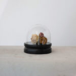 Dannille Abstract Cloche Or Water Globe - Chic Decora