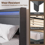 Dimtry Upholstered Bed with Headboard, LED Lights and USB Power Strips - Chic Decora