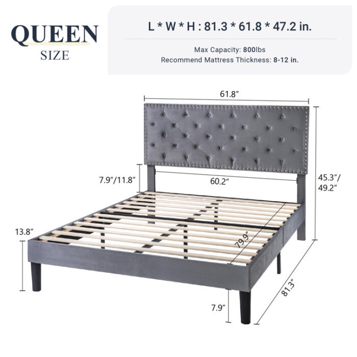 Divino Upholstered Platform Bed - Chic Decora