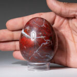 Genuine Polished Red Jasper (2.5″) Egg from Madagascar - Chic Decora