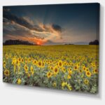 Hedy ” Sunflower Sunset With Cloudy Sky ” by Jeb Buchman - Chic Decora