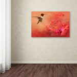 Jai Johnson ” Hummingbird And Peach Hibiscus ” by Jai Johnson - Chic Decora