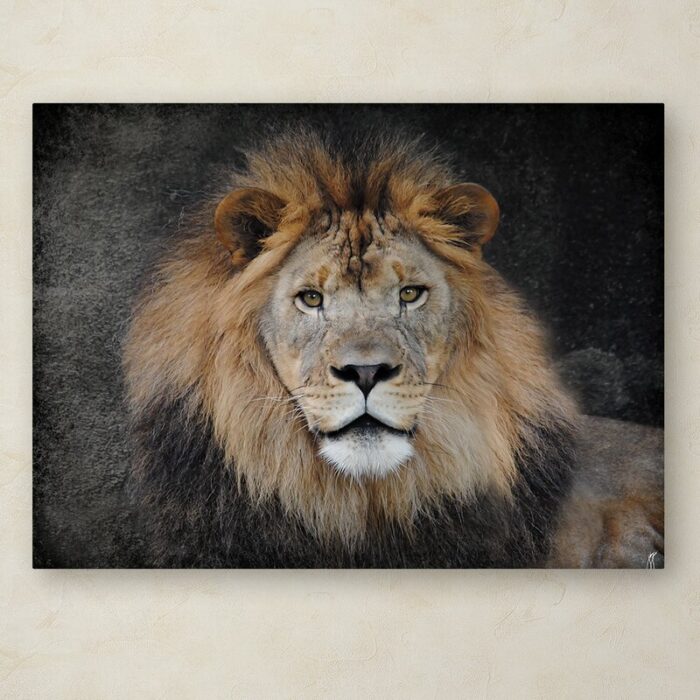 Jai Johnson ” Male Lion Portrait 1 ” by Jai Johnson - Chic Decora