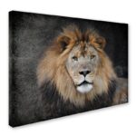 Jai Johnson ” Male Lion Portrait 1 ” by Jai Johnson - Chic Decora