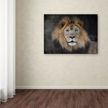 Jai Johnson ” Male Lion Portrait 1 ” by Jai Johnson - Chic Decora