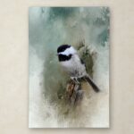 Jai Johnson ” Winter Chickadee ” by Jai Johnson - Chic Decora