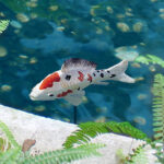 Japanese Floating Koi Figurine - Chic Decora