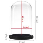 Jealinn Decorative Bell Jar Display Case - Chic Decora