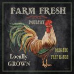 Jean ” Farm Fresh Rooster ” by Jean Plout - Chic Decora